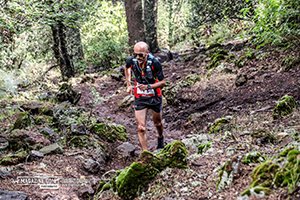 Trail Des Cèdres 2023 (Edition 14)